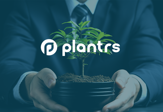 Plantrs Web Design Case Study