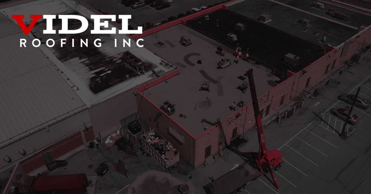 Web Design for Videl Roofing Inc
