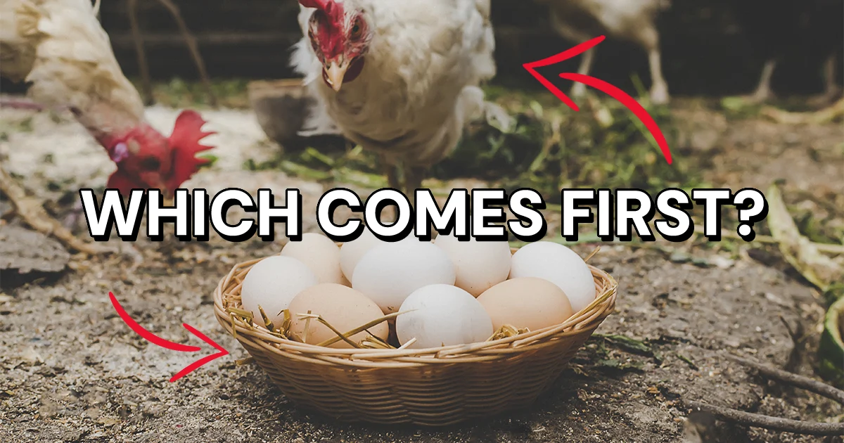 Content-First Design Theory