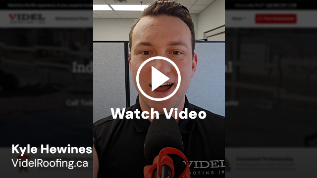 Kyle Hewines Website Design and SEO Testimonial